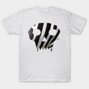 zebra in the skull T-Shirt